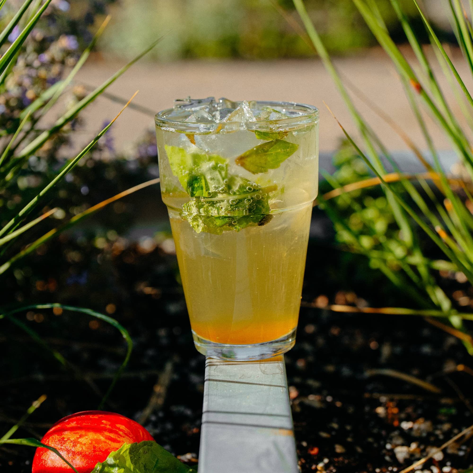 Peach Basil Refresher
