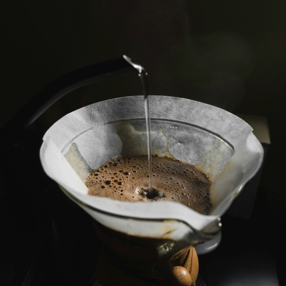 Close-up of roasted coffee beans for Lavender Coffee Boutique Gesha Monte de Oro Guatemala