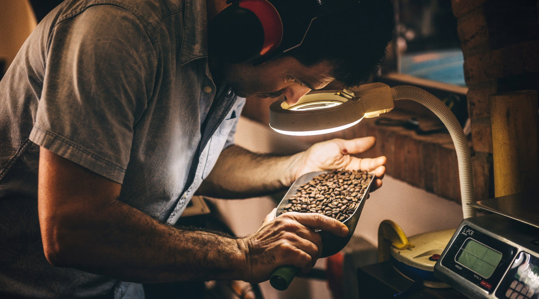 The Complete Guide to Mold Free Coffee and Why It Matters