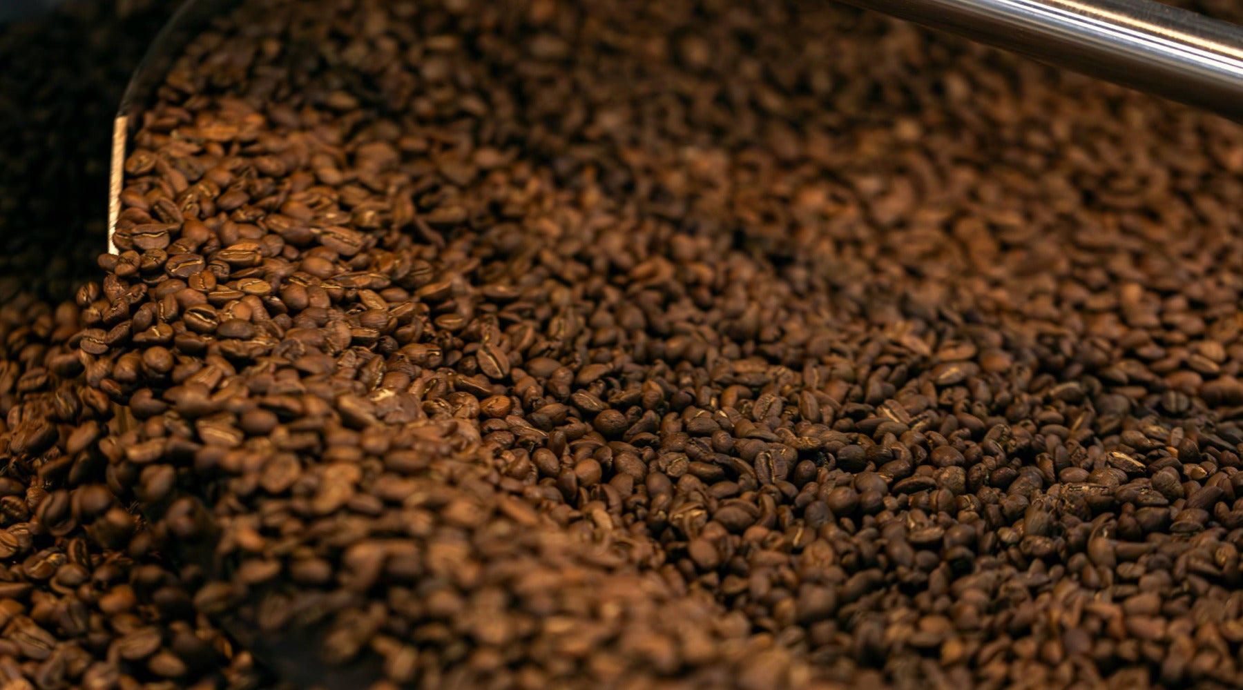 small batch coffee roasting the lavender difference