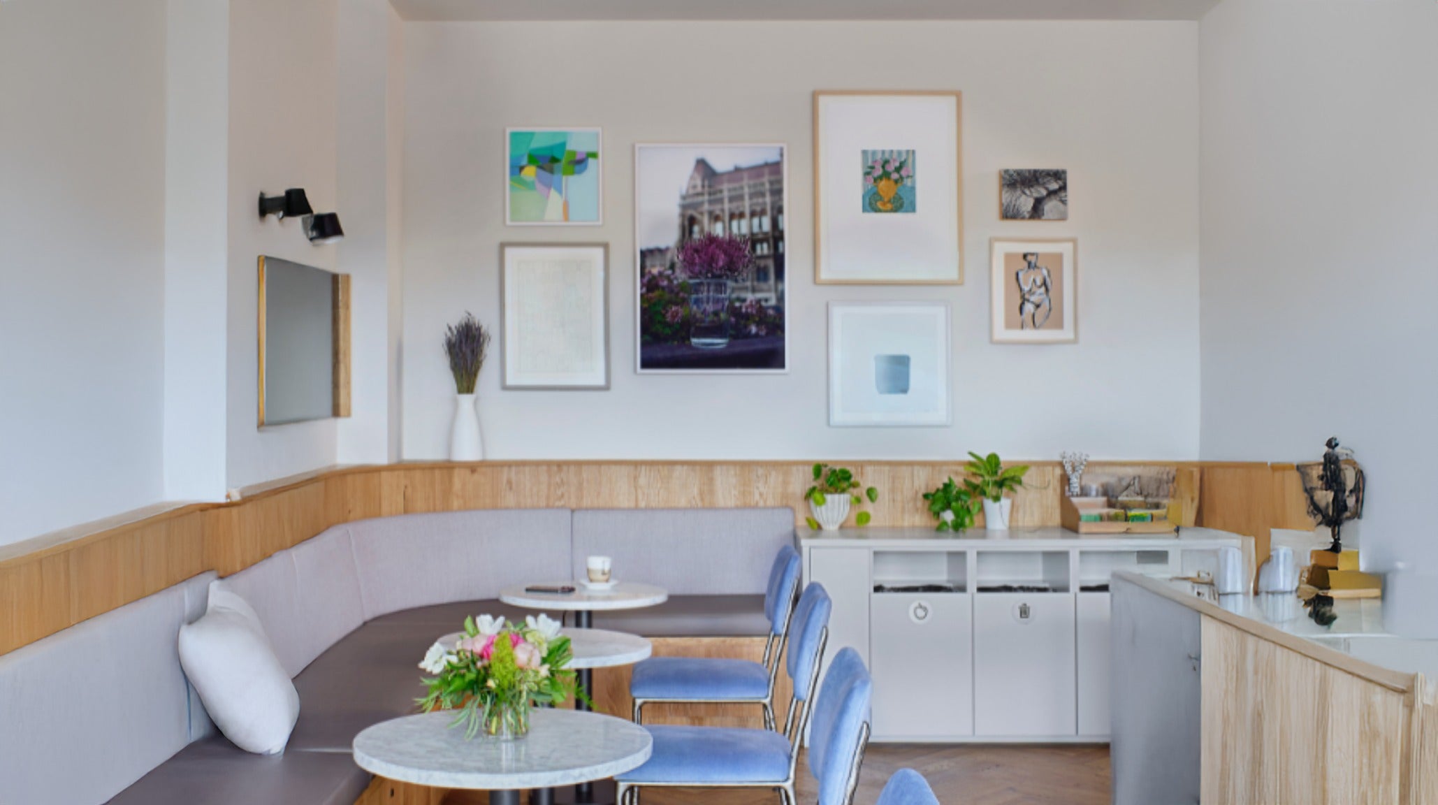Lavender Coffee Boutique Denver coffee shop serving low acid, mold free, gut friendly coffee