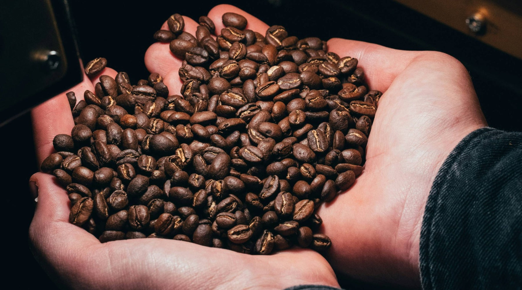 mold free 3rd party lab tested coffee by lavender coffee