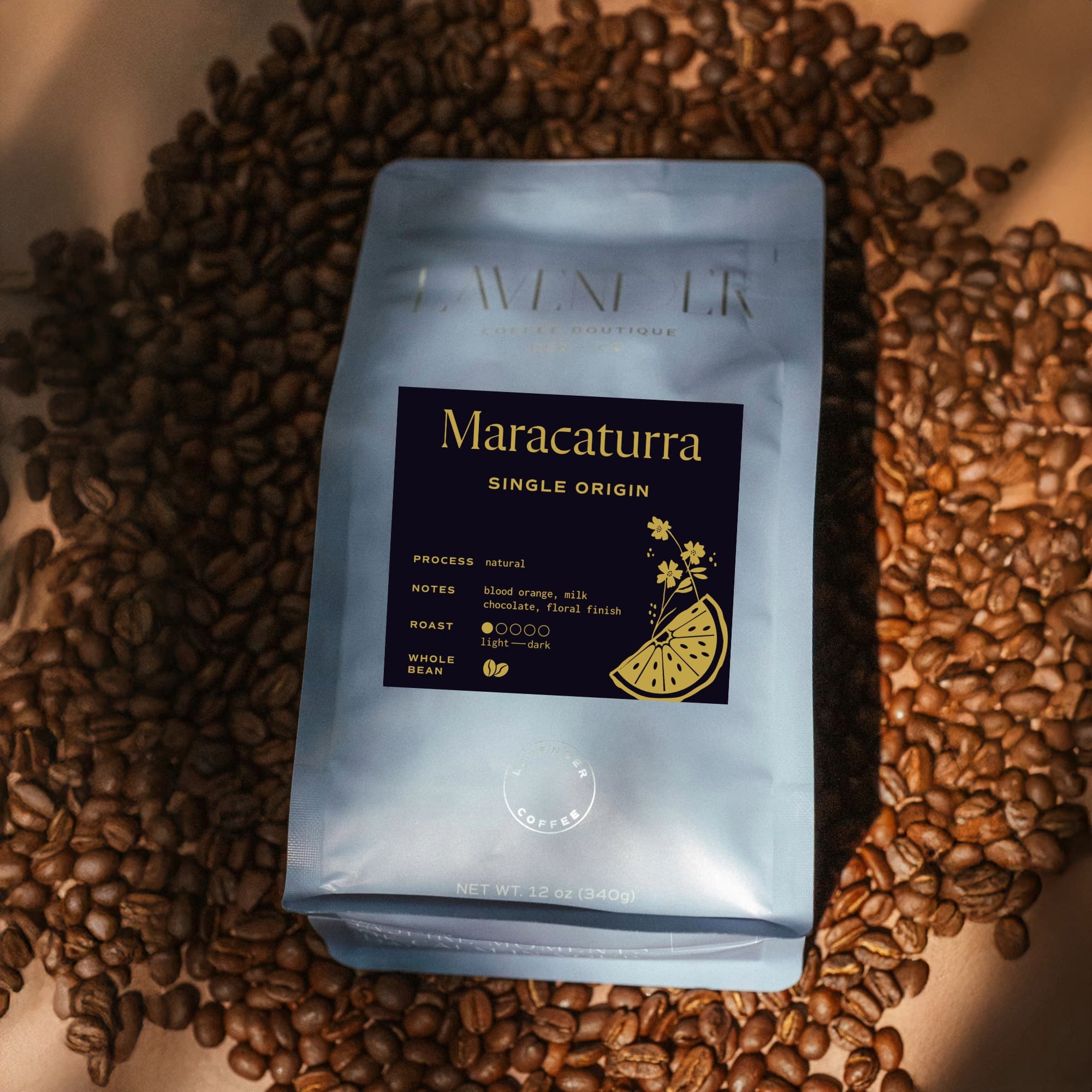 Maracaturra the Rare Elephant Bean Coffee from Guatemala